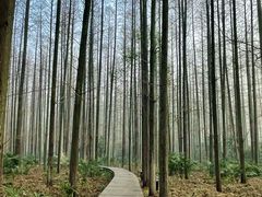 -上海怡沁园度假酒店