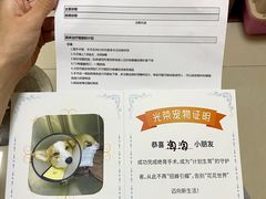 -艾贝尔宠物医院 ·内科全科(梁溪路店)