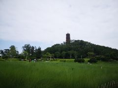 -红花山公园