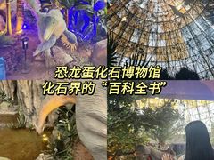 -中国西峡恐龙遗迹园