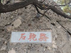 -阳台山自然风景区