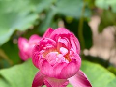 -田园印象·成都土菜院子(华阳店)