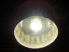 大堂-鹿萤季·营地小馆(皇后公园店)