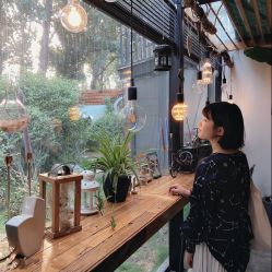 -YESIDO椰岛造型