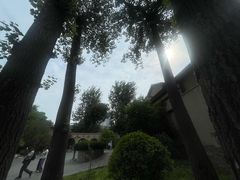 -静园(和平区)