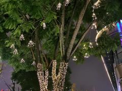 -辣想啵啵鱼(光环店)