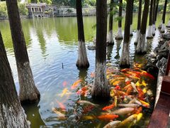 -东莞市可园博物馆