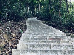 -阳台山森林公园