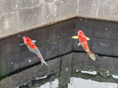 -西安市广仁寺