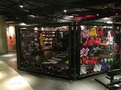 -威尔仕健身(虹桥南丰城店)