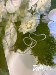 -DNA Wedding 婚礼记(上海店)