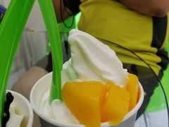 -Salud撒露欧洲冻酸奶(蓝色港湾店)