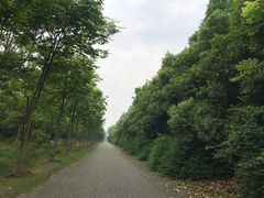 -上海海湾国家森林公园