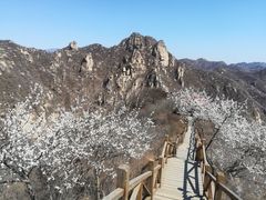 -大岭沟猕猴桃谷风景区