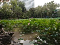 -莲湖公园
