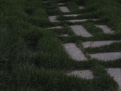 -金山公园