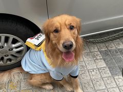 -PETKIT小佩宠物·低压洗护(国顺东路店)