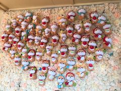 -柴犬高等学院·狗咖·柴犬售卖·宠物训练