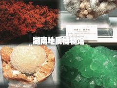 -湖南省地质博物馆