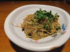 东北大拉皮-95号酱骨·一块豆腐(展春园西路店)