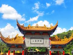 -东莞市大岭山森林公园