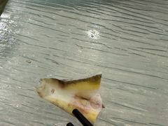 -孔庆璞河豚馆(白玉兰酒店)