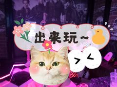 -欢乐迪KTV(观音桥未来国际店)