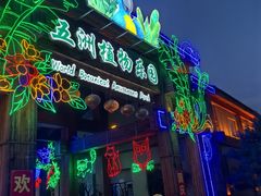 -南宫五洲植物乐园