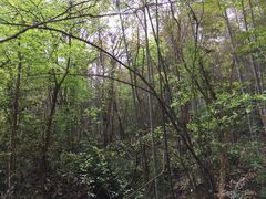 -小格里自然风景区