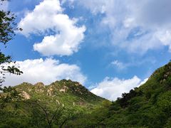 -大岭沟猕猴桃谷风景区