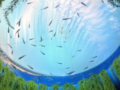 -欢乐海岸海洋奇梦馆