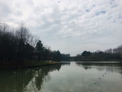 -上海海湾国家森林公园