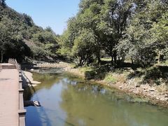 -武汉姚家山旅游景区