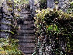 -梭布垭石林景区