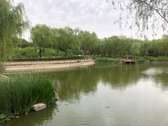 -燕郊植物园