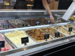 冰淇淋-Patagonia Chocolates(皇后镇店)