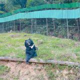 最适合带宝宝出游的宝藏打卡地，乐和乐都主题公园