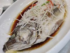 -昆仑和悦酒店(青岛奥帆中心五四广场店)