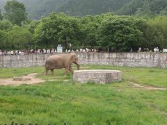 -西安秦岭野生动物园