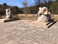 -北京十三陵国家森林公园蟒山景区