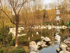 -西安青龙寺遗址景区