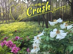 -洛阳市隋唐城遗址植物园