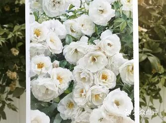 这一组作品看起来怎么样，是不是觉得特别棒呢