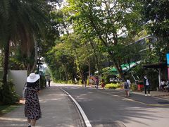 -巴拉湾海滩