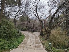 -苏州上方山国家森林公园