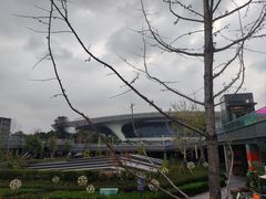 -运河游船(武林门码头)