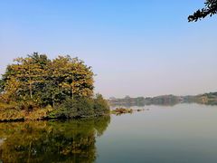 -海珠湖公园