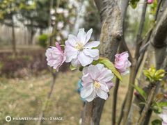 -西部长青自然儿童乐园