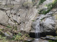 -王顺山国家森林公园