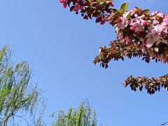 -海棠花溪(元大都城垣遗址公园)